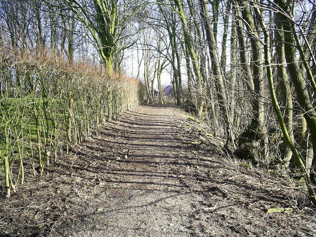 Lijkweg
