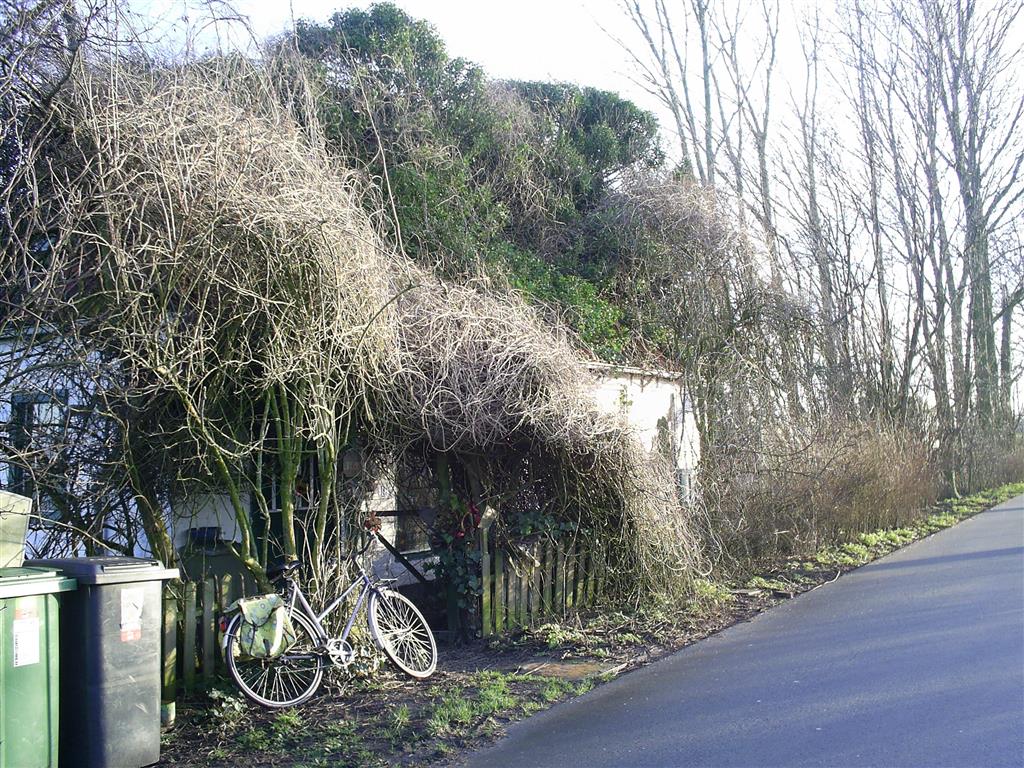 Onderweg naar de Munnekeweg