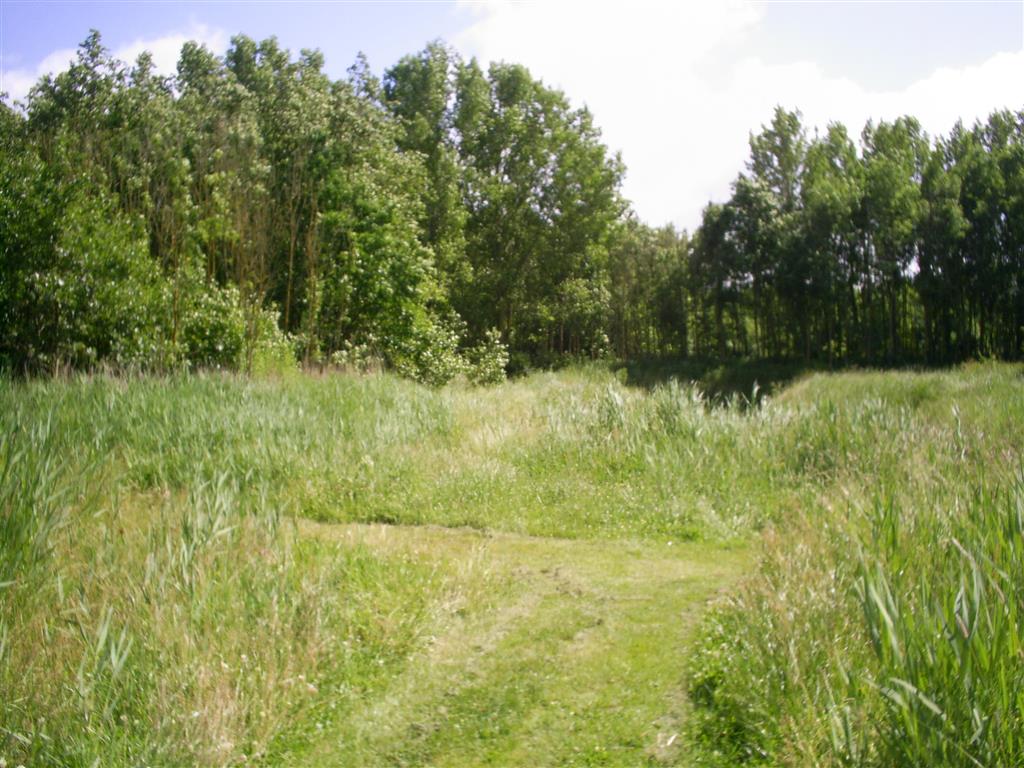 Hier rechtdoor en door het bos